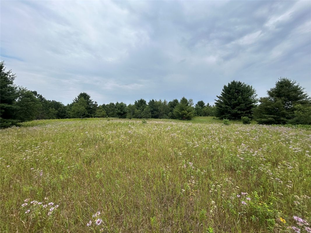 On Strabel Road, Stone Lake WI 54876 - Land house for sale - MLS #1604177 - image8