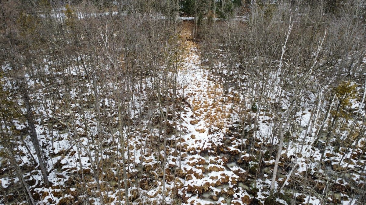 Land at OOO LAKE RD, Clintonville, WI 54929 — photo 6