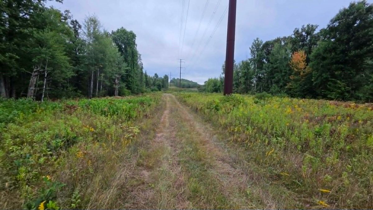 10501 County Hwy M Highway, Springbrook WI 54875 - Land house for sale - MLS #1604696 - image19