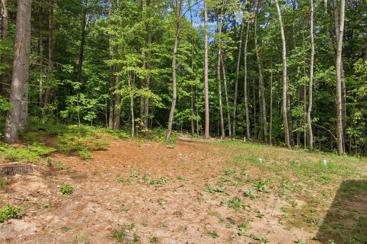 12120W Twin Lake Road, Hayward WI 54843 - Residential house for sale - MLS #1604865 - image27