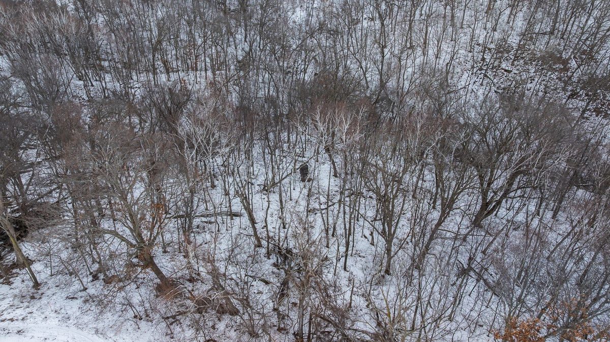 0 Maplewood Lane Alma WI 54610 — photo 12