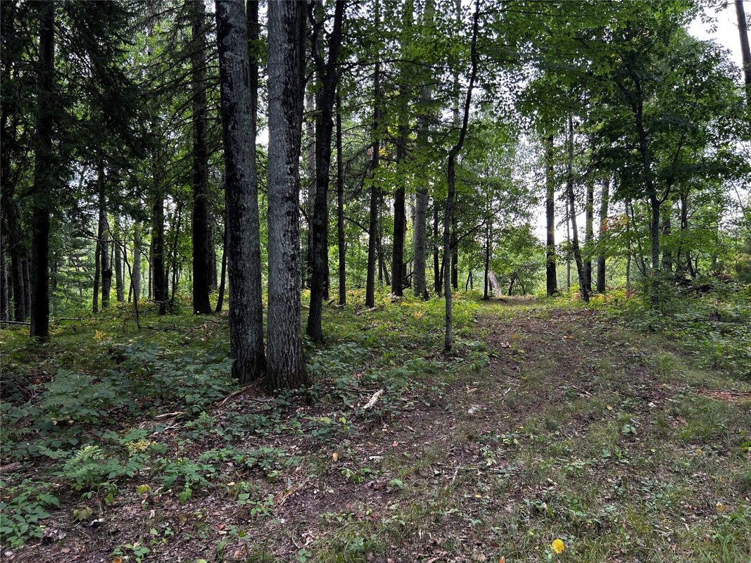 Lots 5 & 6 State Highway 70, Spooner WI 54801 - Land house for sale - MLS #1604806 - image27