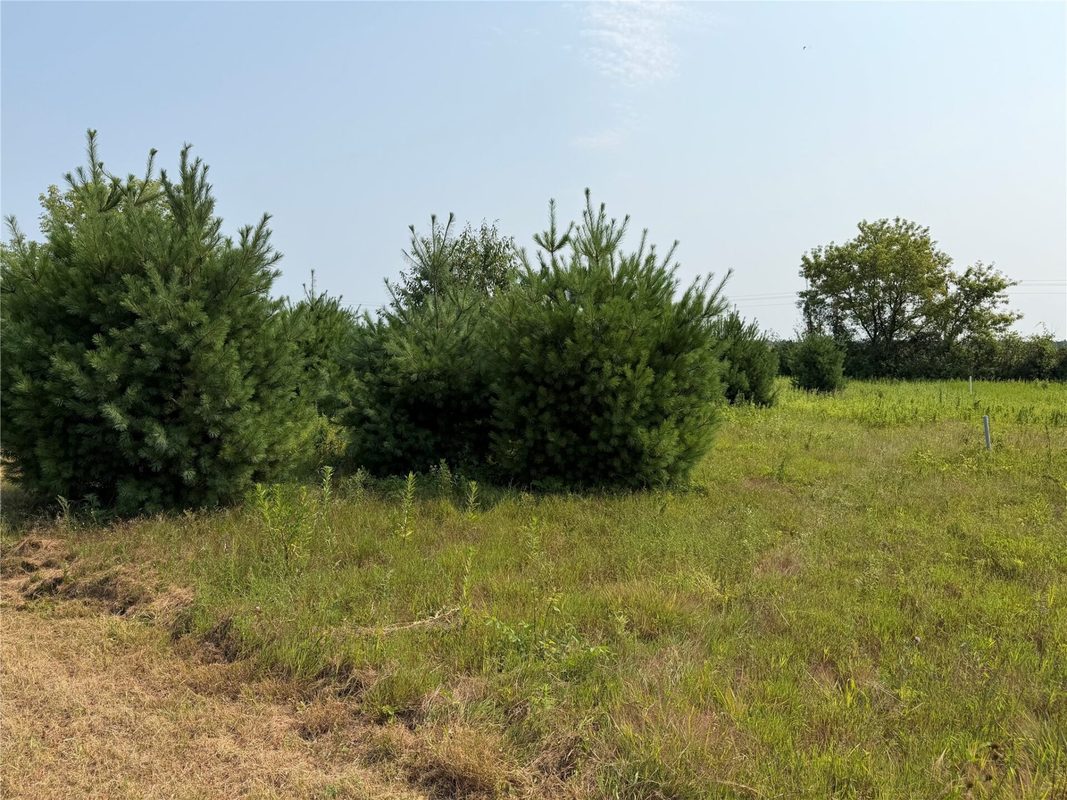 N1396 934th Street, Mondovi WI 54755 - Land house for sale - MLS #1603554 - image6
