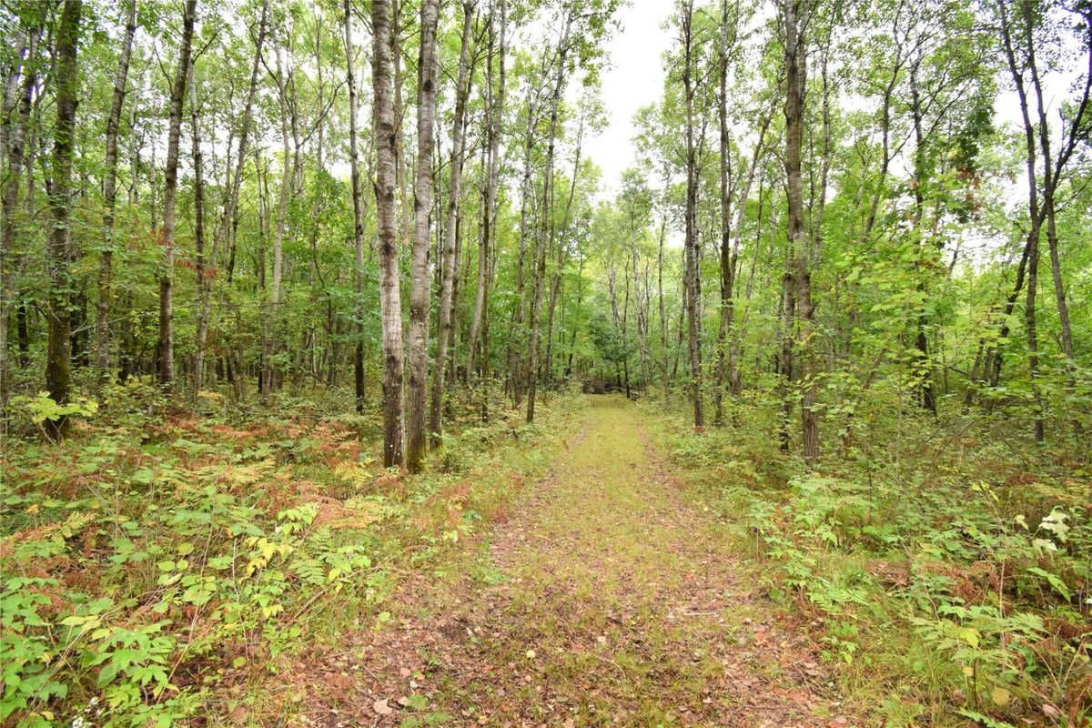 W9444 Dock Lake Road, Spooner WI 54801 - Residential house for sale - MLS #1605418 - image49