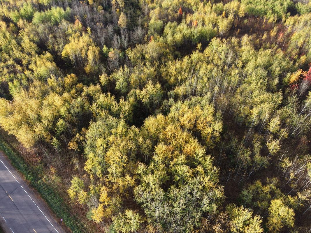 On County Highway W, Winter WI 54896 - Land house for sale - MLS #1605419 - image21