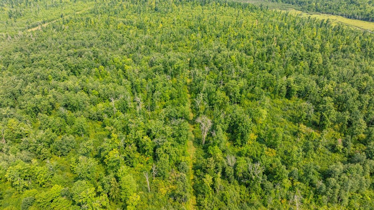 0 28th Street, Chetek WI 54728 - Land house for sale - MLS #1604329 - image19
