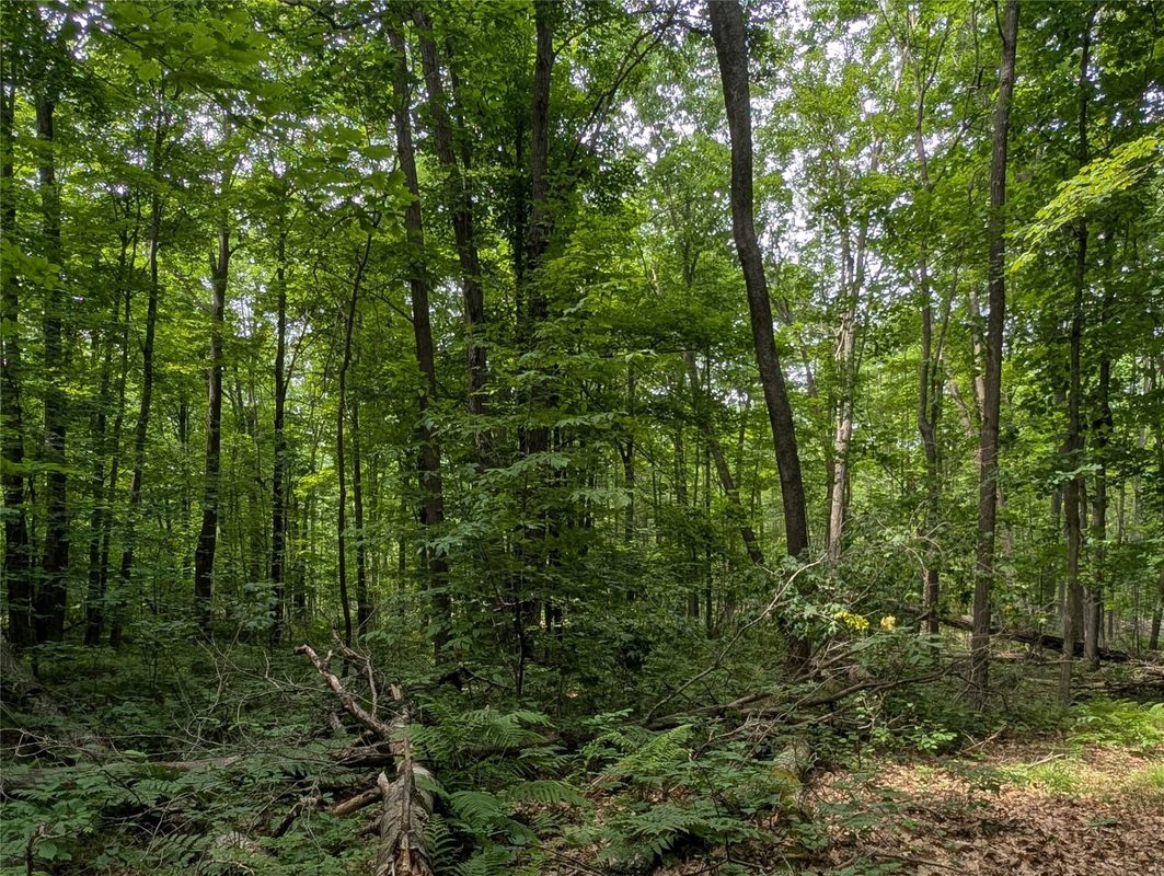 W6620 Deerwood Drive, Ladysmith WI 54848 - Land house for sale - MLS #1602936 - image12
