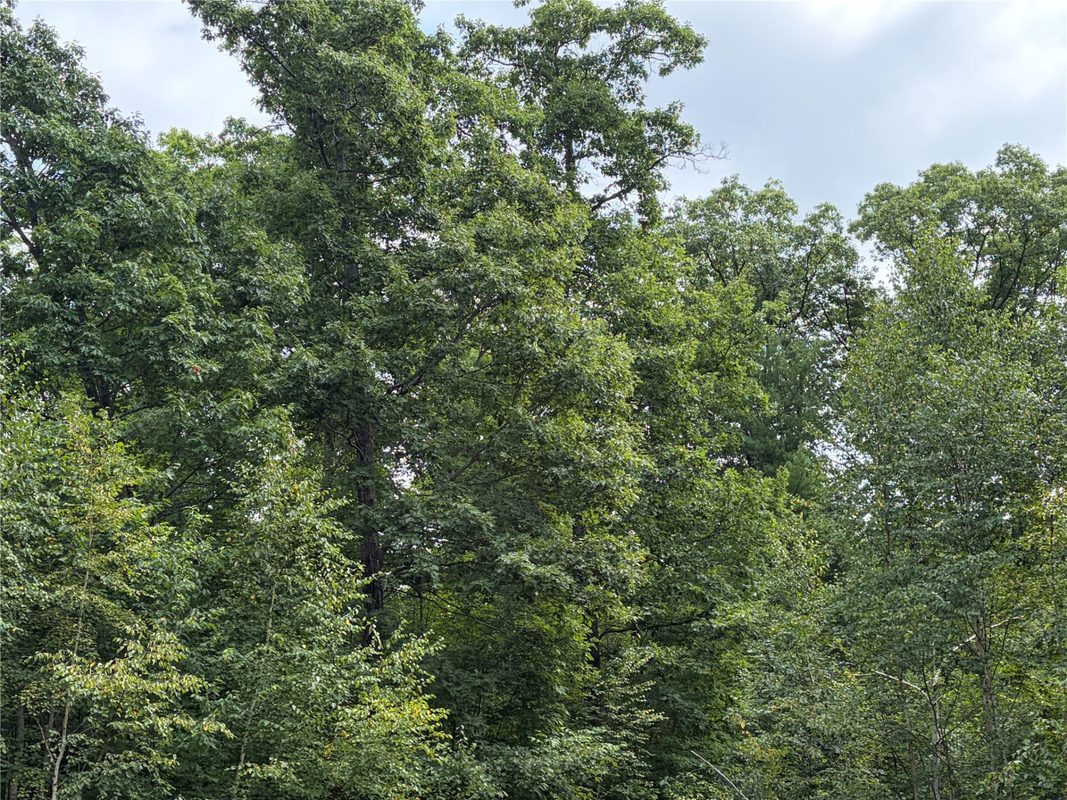 On Strabel Road, Stone Lake WI 54876 - Land house for sale - MLS #1604177 - image30