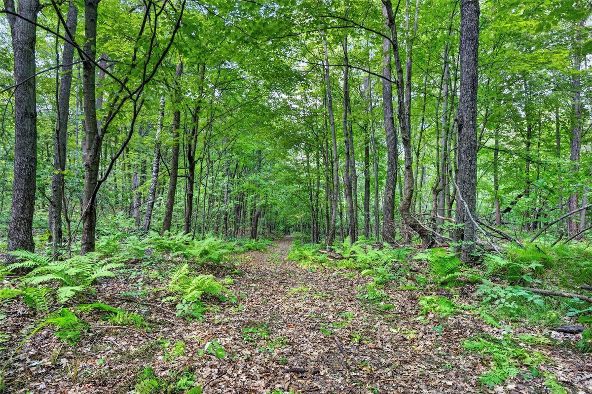 XXX County Hwy B, Shell Lake WI 54871 - Residential house for sale - MLS #1604550 - image40