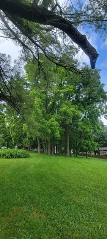 224 Church Street, Alma Center WI 54611 - Residential house for sale - MLS #1602594 - image14