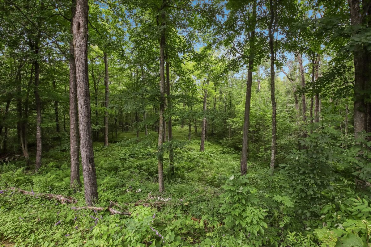 W2294 Highway 70  Spooner WI 54801 — photo 43