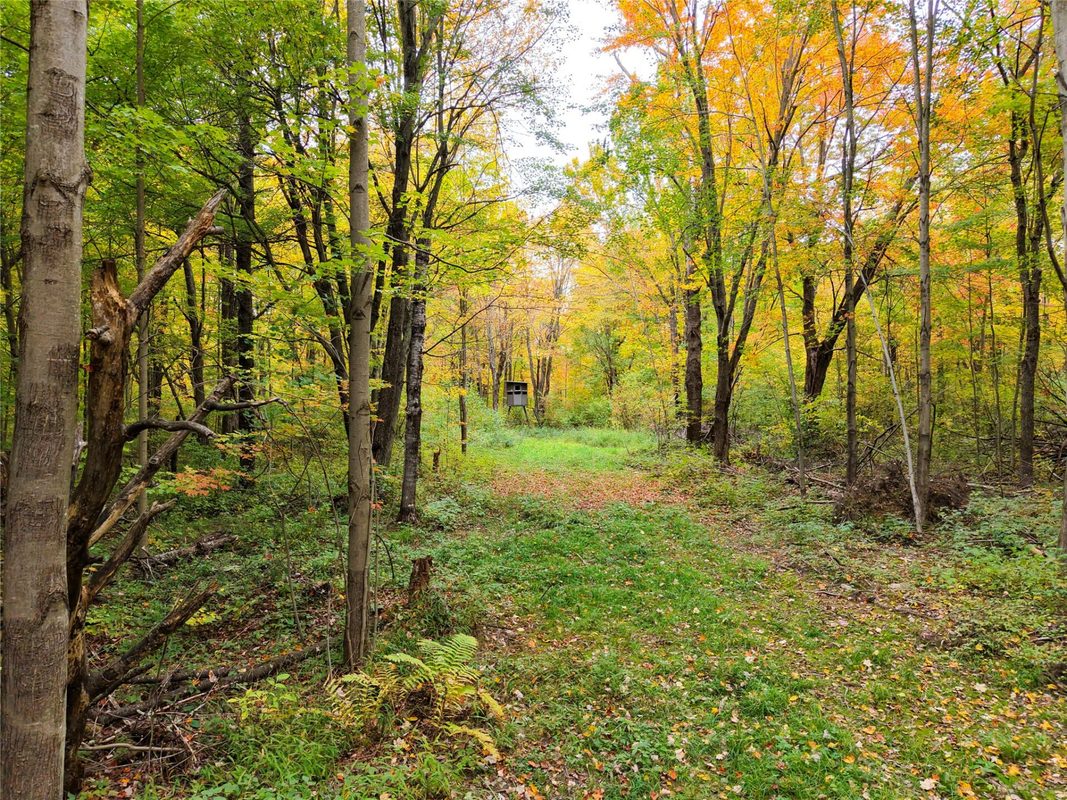 0000 County Road I, Ogema WI 54459 - Land house for sale - MLS #1605613 - image12