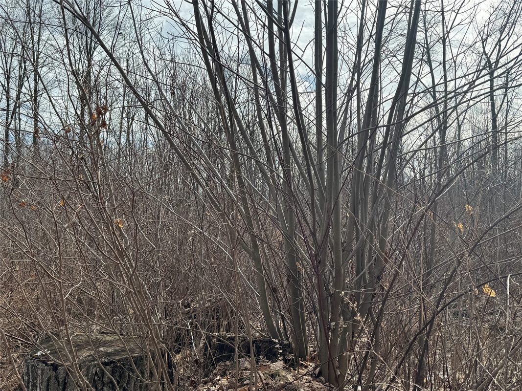 OOO MAPLE Granton WI 54436 — photo 25