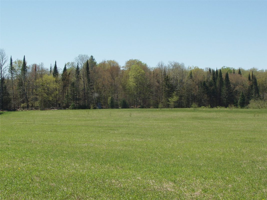 120 +/- Acres Off County Highway N, Glidden WI 54527 - Land house for sale - MLS #1601094 - image7