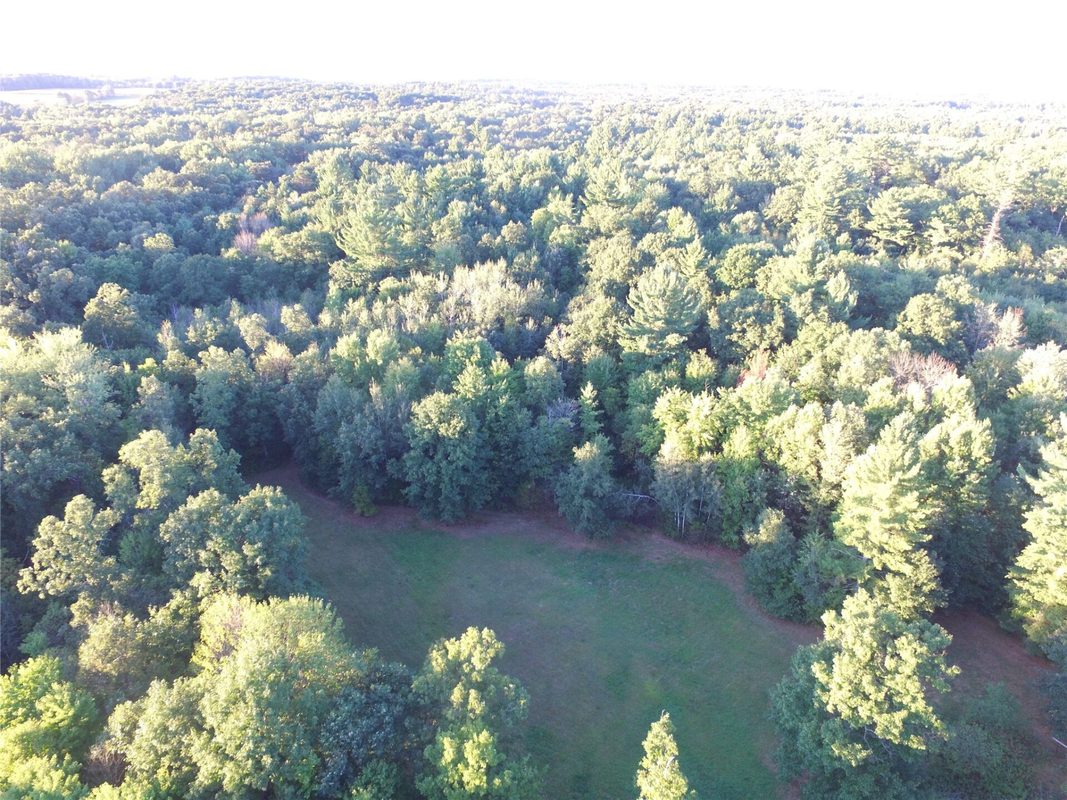 W10712 Popple River Road, Thorp WI 54771 - Land house for sale - MLS #1605082 - image32
