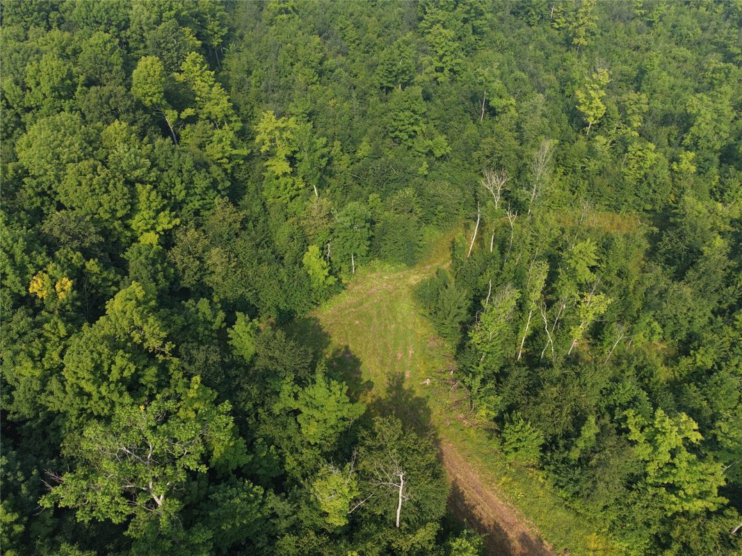 On County Road H, Radisson WI 54867 - Land house for sale - MLS #1603350 - image3