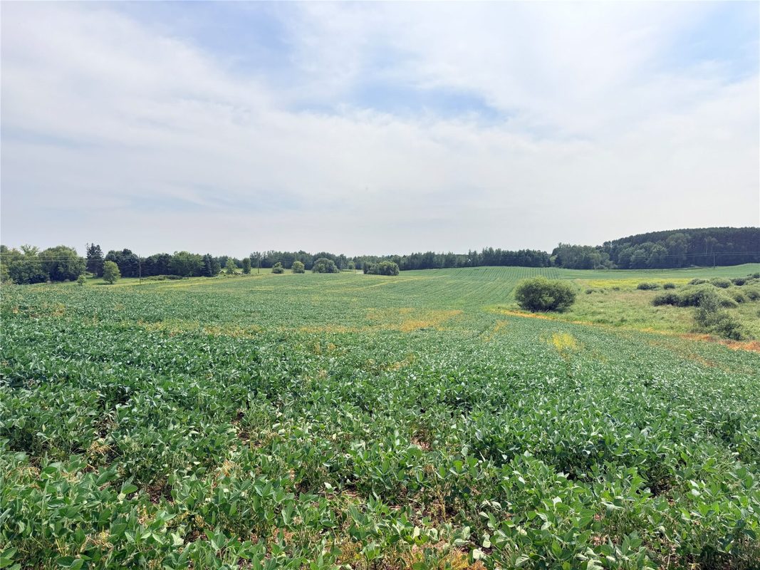 10 Acres Lot 4 230th Street, St Croix Falls WI 54024 - Land house for sale - MLS #1606210 - image16