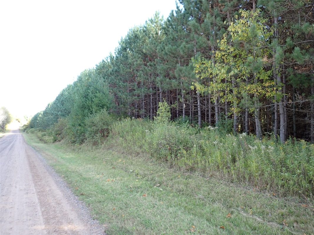 70.54 acres 26 1/2 St, Cumberland WI 54829 - Land house for sale - MLS #1605975 - image2