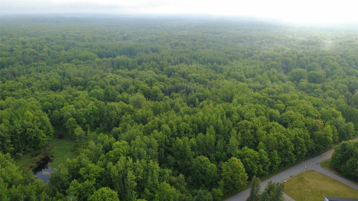 000 Boundary Road, Ringle WI 54471 - Land house for sale - MLS #1602183 - image23