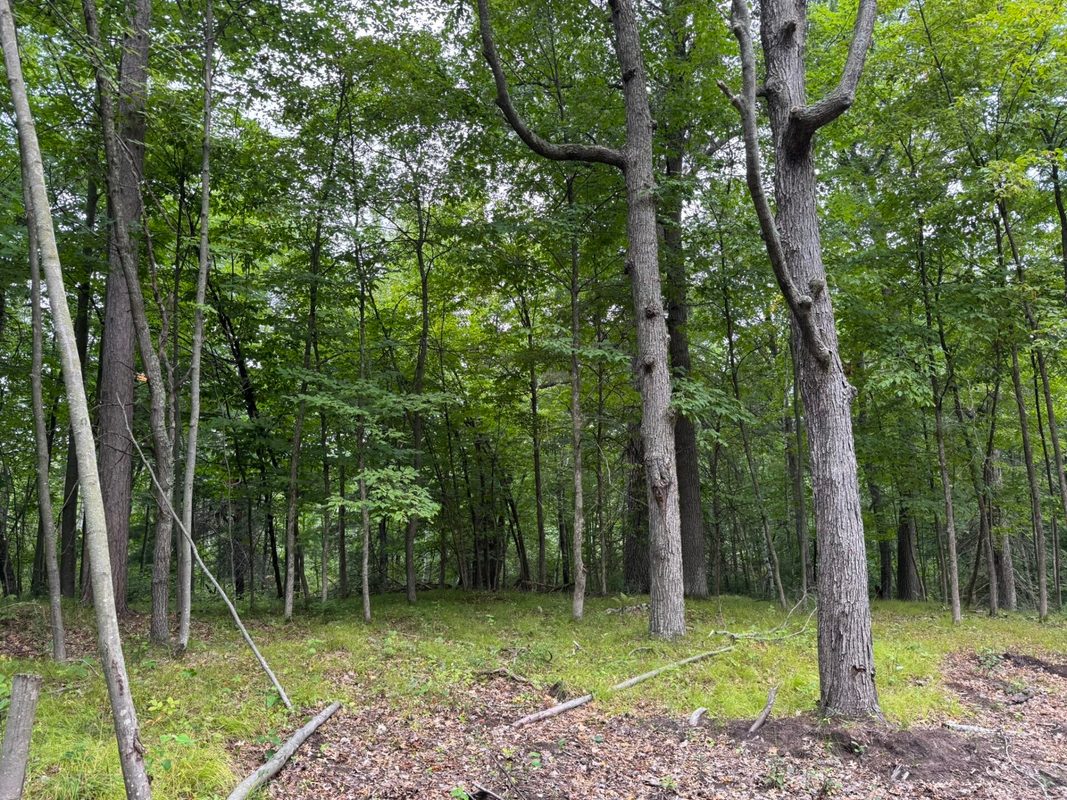 N8004 Cty Hwy A, Spooner WI 54801 - Land house for sale - MLS #1604449 - image8