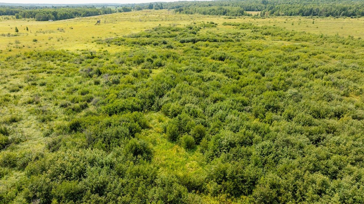 0 28th Street, Chetek WI 54728 - Land house for sale - MLS #1604329 - image36