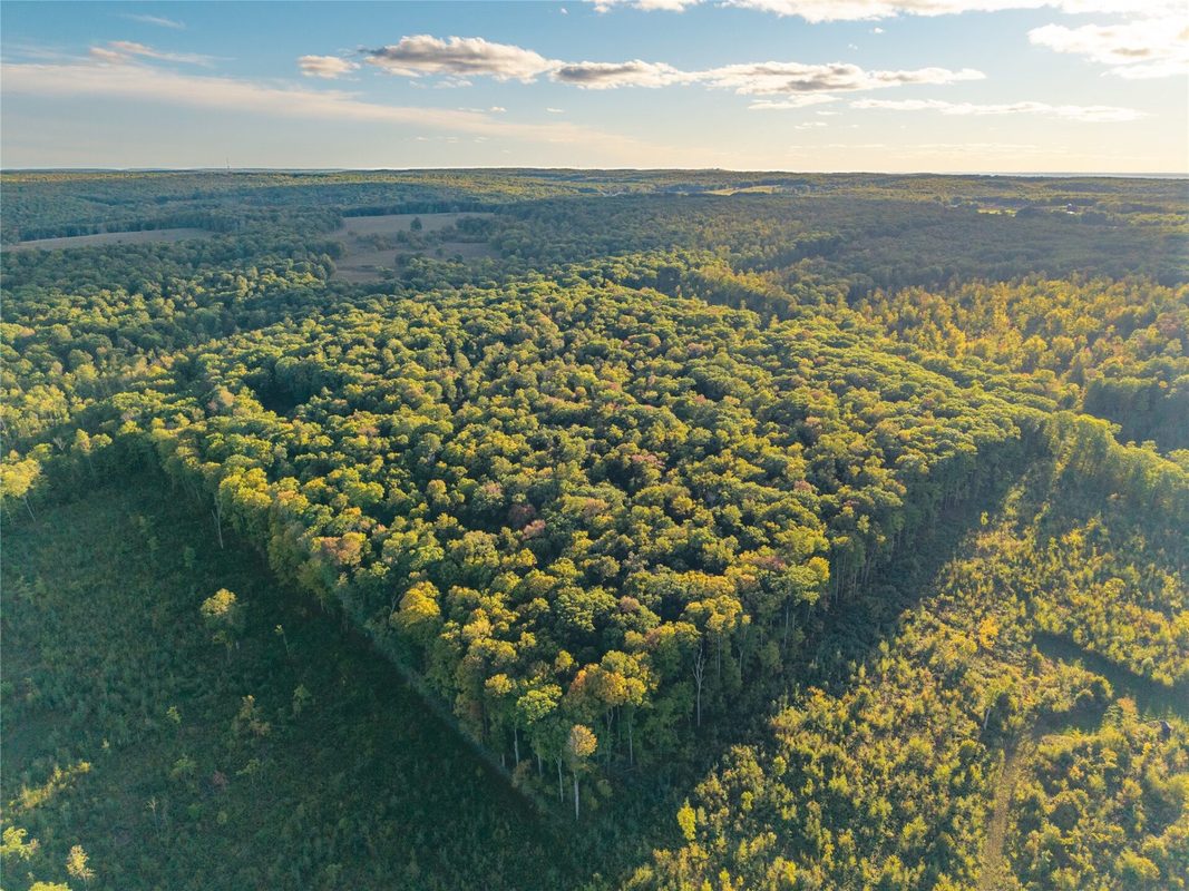 38.2 Acres Vierck Lane, Exeland WI 54835 - Land house for sale - MLS #1605286 - image6