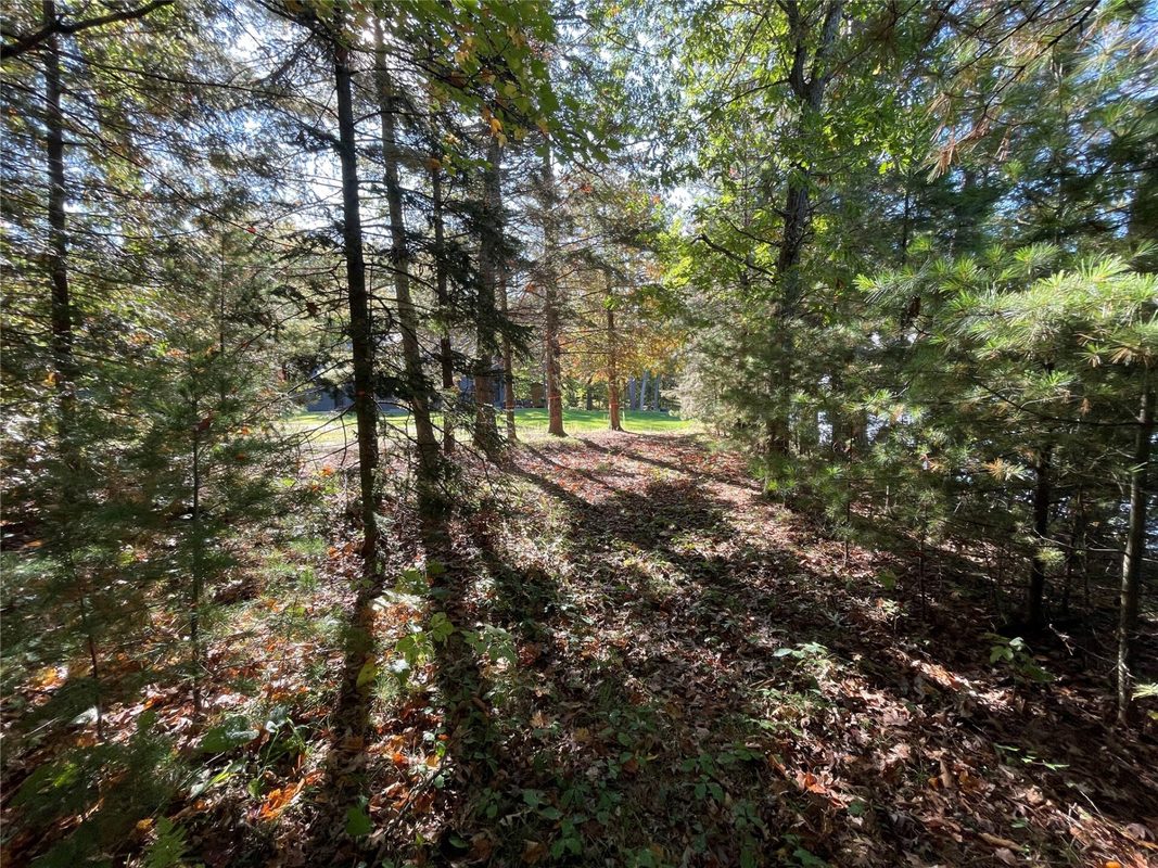 6073 Elsie Road, Stone Lake WI 54876 - Land house for sale - MLS #1602616 - image24