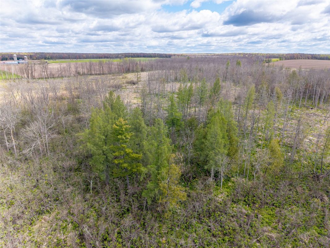 40 Acres Anderson Road & School Road, Glen Flora WI 54526 - Land house for sale - MLS #1601150 - image14