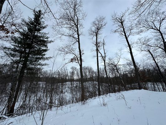 TBD 10 Acres Antler Lake Drive Milltown WI 54858