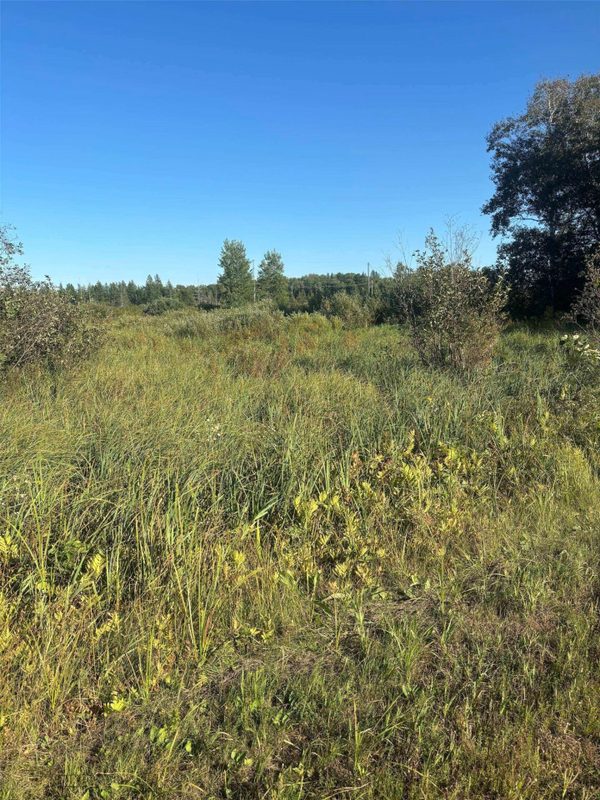 8360 Old 11 Road, Solon Springs WI 54873 - Land house for sale - MLS #1605028 - image5