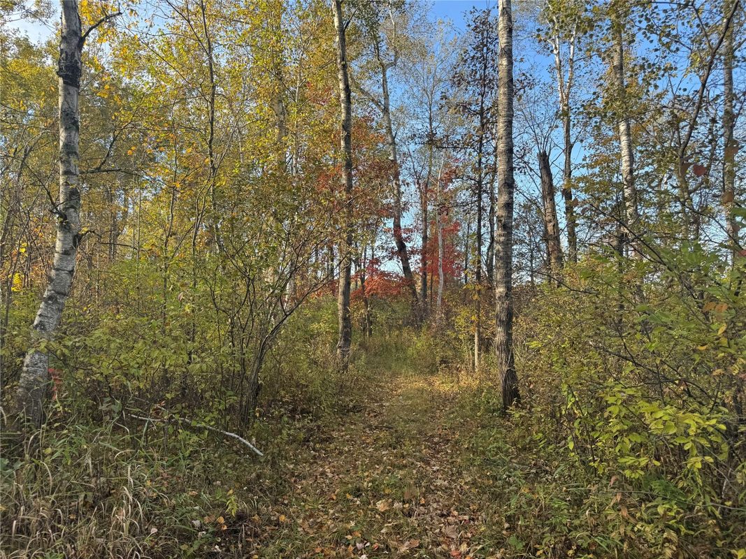 W11199 Edgewood Avenue, Bruce WI 54848 - Land house for sale - MLS #1605749 - image23