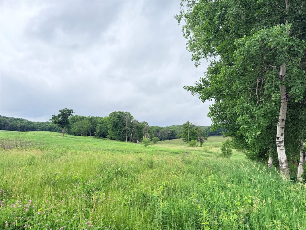 0 Grandview Drive, Fall Creek WI 54727 - Land house for sale - MLS #1603307 - image13