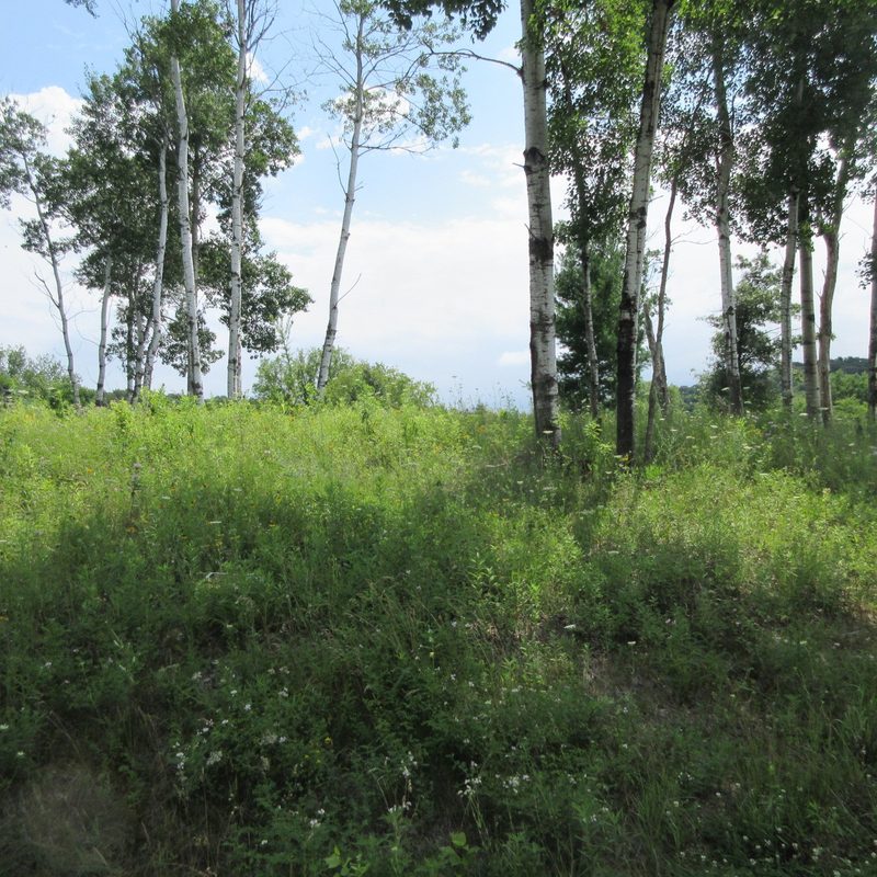 Lot 13 516th Street, Menomonie WI 54751 - Land house for sale - MLS #1603467 - image3