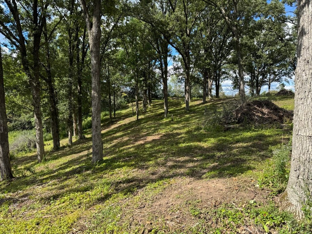 Lot 28 21st Street, Rice Lake WI 54868 - Land house for sale - MLS #1603229 - image16