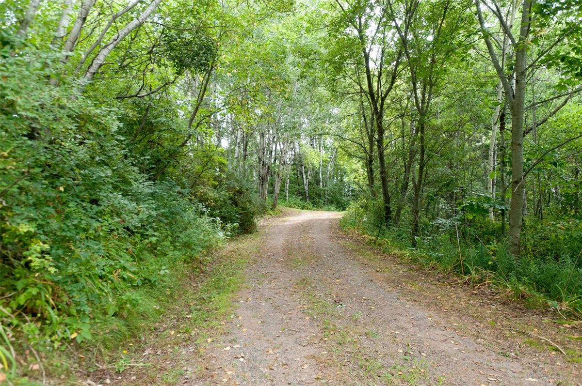 N2387 County Highway P, Sarona WI 54870 - Residential house for sale - MLS #1604210 - image11