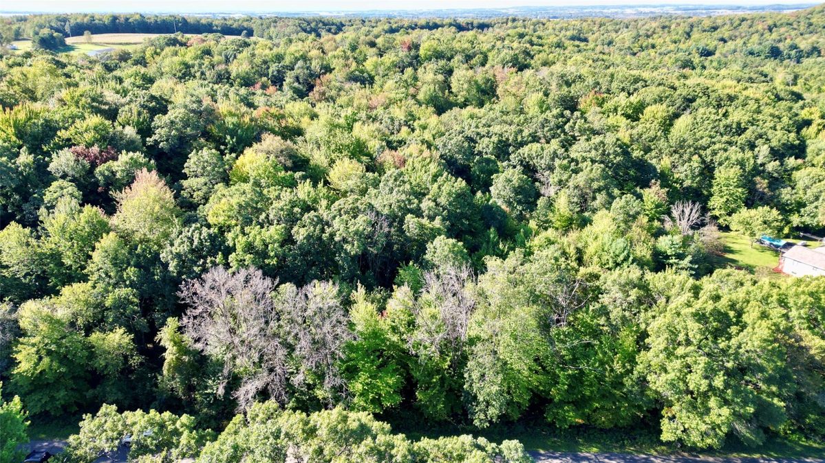 N6497 906th Street, Elk Mound WI 54739 - Land house for sale - MLS #1605558 - image5