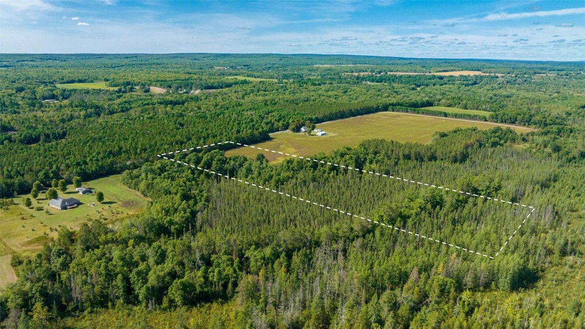 7562 Fairview Road, Ladysmith WI 54848 - Land house for sale - MLS #1605842 - image7