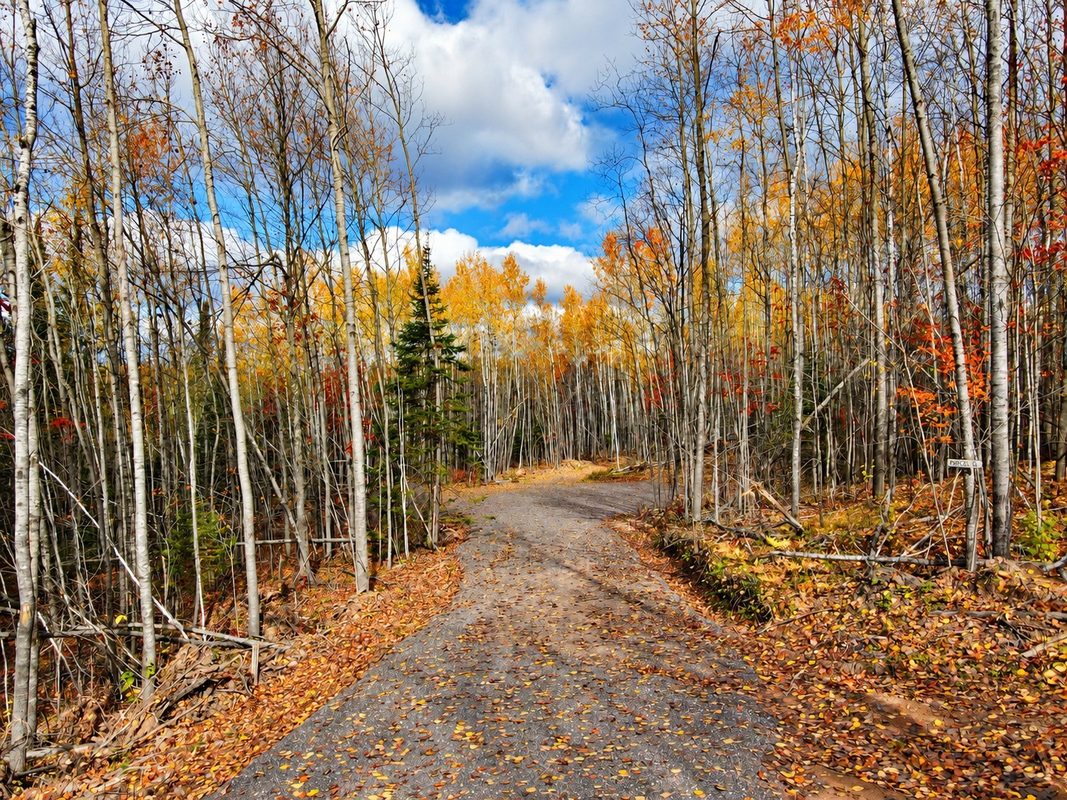 PARCEL 2 County Road A, Solon Springs WI 54873 - Land house for sale - MLS #1606050 - image20