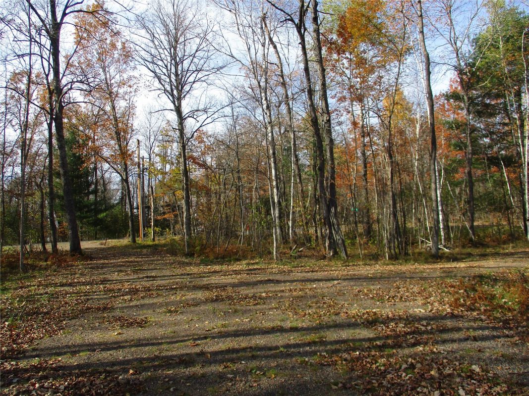 LOT #25 Lakeshore Drive & 28 1/8 Street, Birchwood WI 54817 - Land house for sale - MLS #1605905 - image6