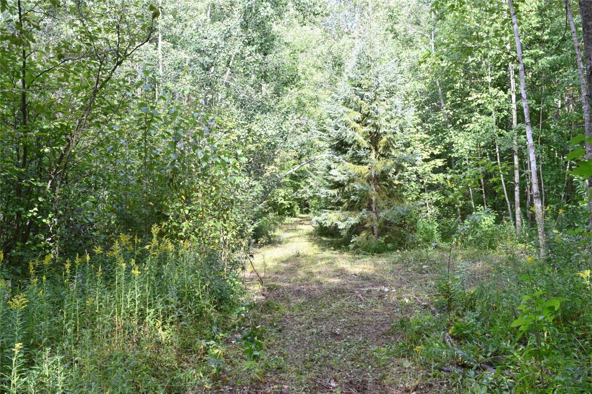 26615 Star Route Road, Bayfield WI 54814 - Land house for sale - MLS #1604800 - image34