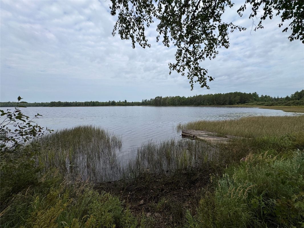 N12905 Sailor Lake Road, Park Falls WI 54552 - Land house for sale - MLS #1604733 - image9