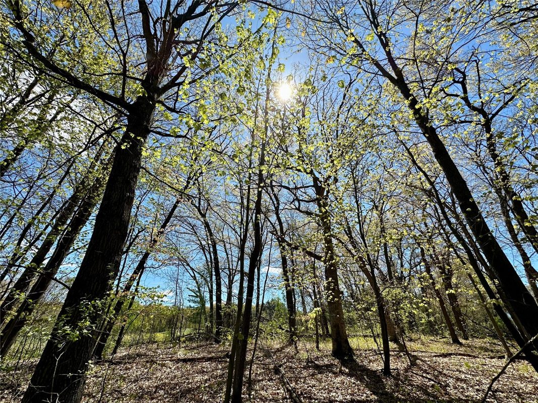 1438 Pleasant Hill Road, Eau Claire WI 54703 - Land house for sale - MLS #1602766 - image17
