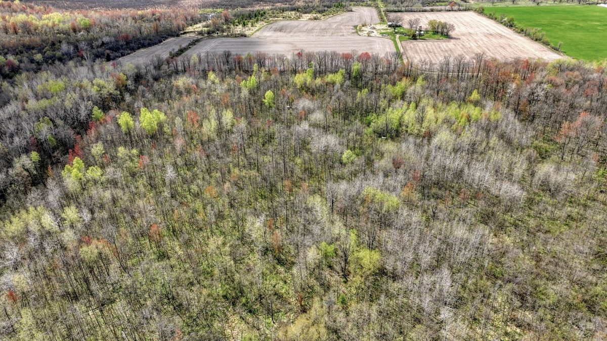 27.6 Acres off Helena Drive, Conrath WI 54731 - Land house for sale - MLS #1605499 - image12