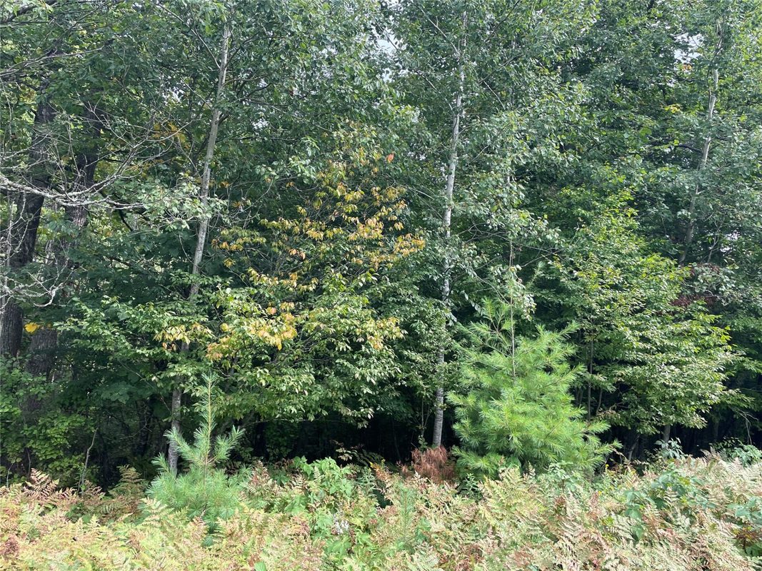Lot 8 Hermosa Lane, Hayward, WI — photo 4