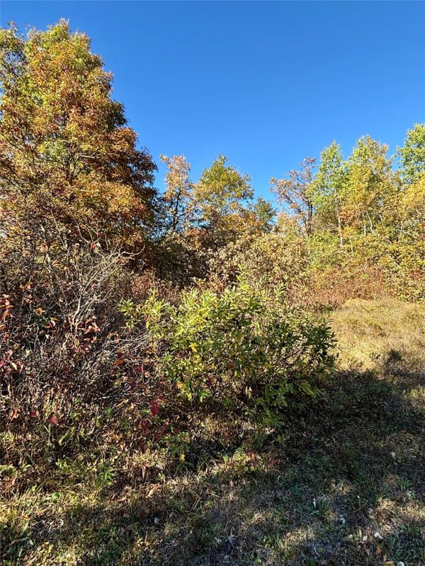 9524 Bergin Springs Road, Solon Springs WI 54873 - Land house for sale - MLS #1605714 - image14