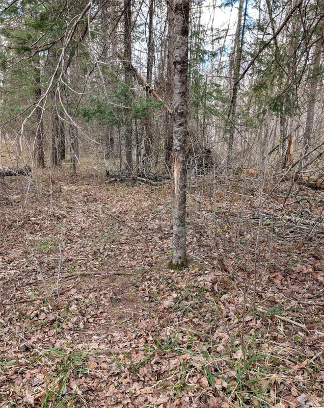 15138 Crotte Brook Trail, Danbury WI 54830 - Residential house for sale - MLS #1600976 - image53