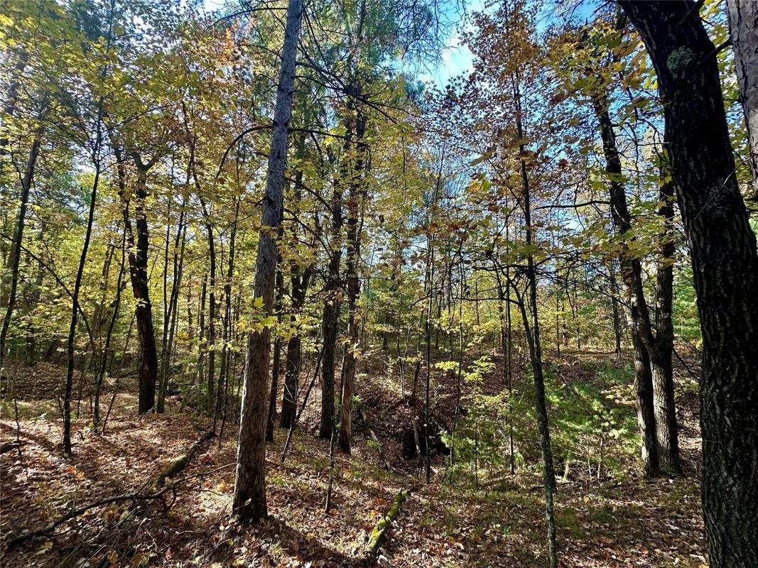S3678 County Road N, Augusta WI 54722 - Land house for sale - MLS #1605865 - image25