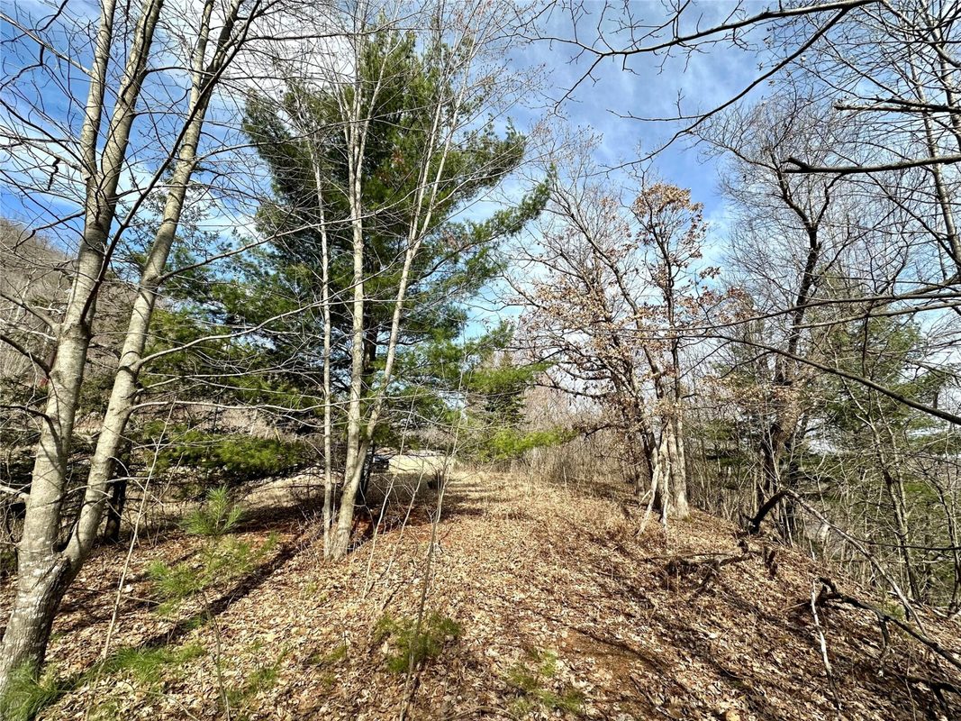 N4548 County Road N, Arkansaw WI 54721 - Land house for sale - MLS #1599637 - image10