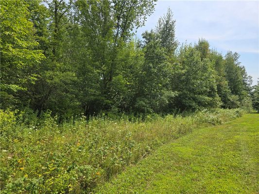00 10 1/4 Avenue, Chetek WI 54728 - Land house for sale - MLS #1594553 - image1