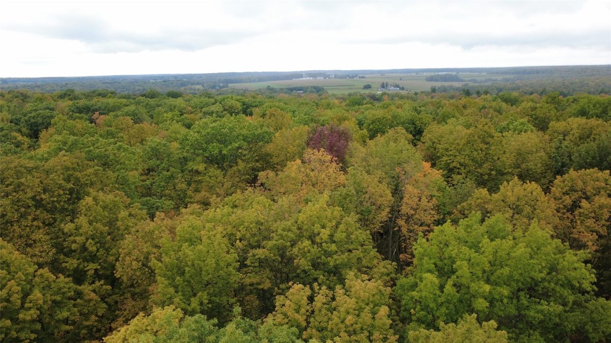 000 Nehrbass Road, Athens, WI — photo 8